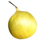 Bergamot Commercial - Citrus bergamia ӥίŦaMno