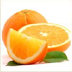 Orange Blood - Citrus sinensis �����M�n�����o
