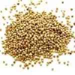 Pepper White - Piper nigrum �խJ�ԲM�n�����o