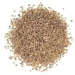 Celery Seed - Apium graveolens ���� ������S