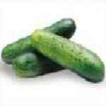 Cucumber���ʪo������¦�o