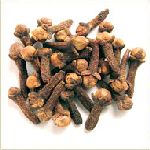 Clove Bud - Syzygium aromaticum �B���c ������S