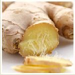Ginger - Zingiber officinalis ���M�n�����o